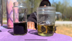 Plant Medicine Workshops