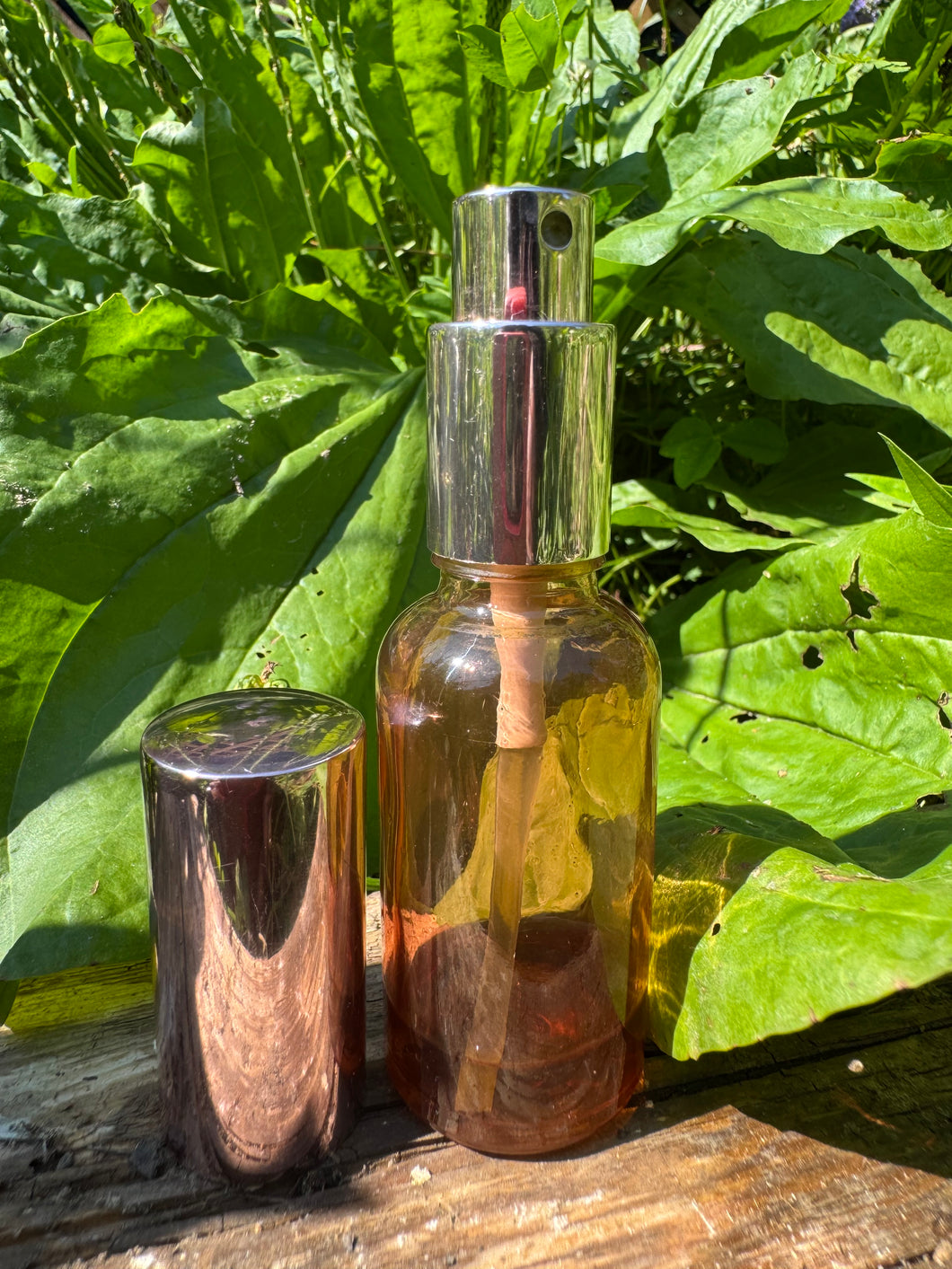 Whole Plant Tincture: Plantain