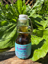 Whole Plant Tincture: Plantain