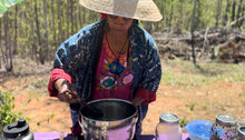 Plant Medicine Workshops