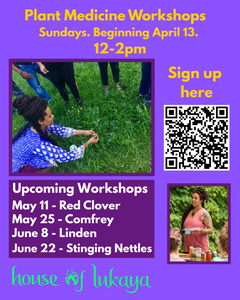 Plant Medicine Workshops