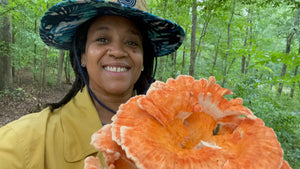 Consultations with a Community Herbalist