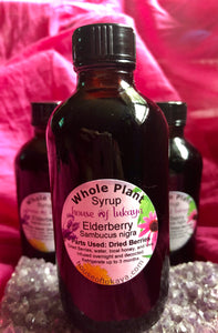 Whole Plant Tincture: Elder Berries