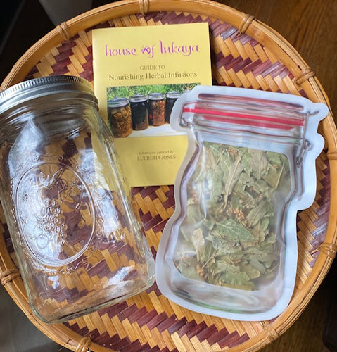 DIY Nourishing Herbal Infusion Workshop