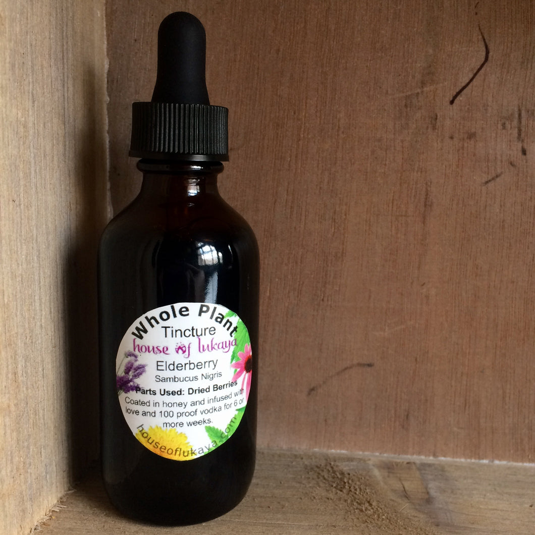 Whole Plant Tincture: Elder Berries