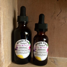 Whole Plant Tincture: Motherwort