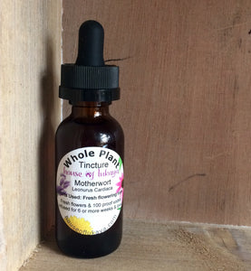 Whole Plant Tincture: Motherwort