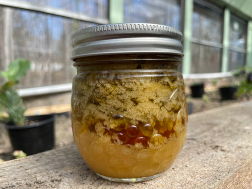 Whole Plant Honey