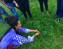 Plant Medicine (online + in-person)