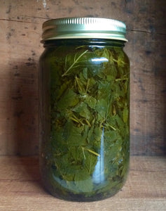 Whole Plant Oils: Lemon Balm
