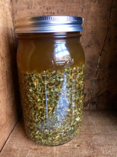 Whole Plant Tincture: Echinacea (angustifolia)