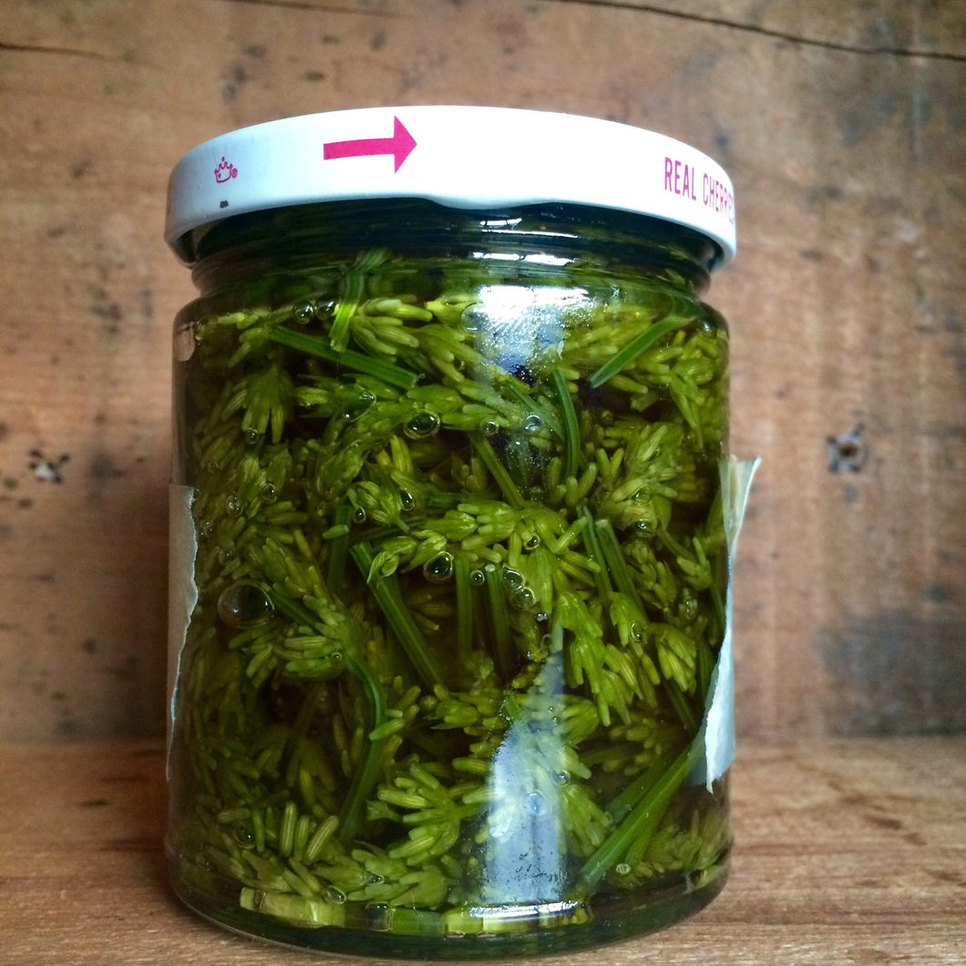 Whole Plant Oils: Lavender
