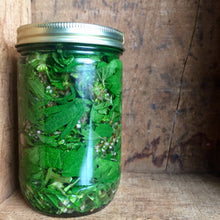 Whole Plant Tincture: Motherwort