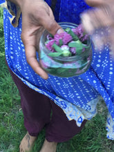 Plant Medicine (online + in-person)
