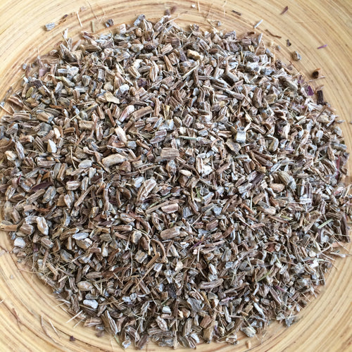 Whole Plant Tincture: Echinacea (angustifolia)