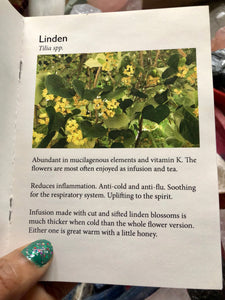 Guide to Nourishing Herbal Infusions