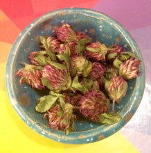 Red Clover