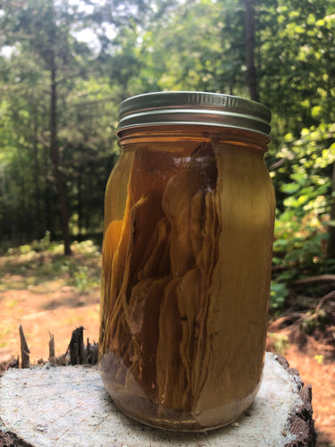 Whole Plant Tincture: Astragalus root